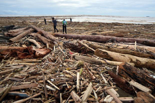 Deforestasi Dan Pembalakan Liar: Kemenhut Telusuri Asal Ribuan Kayu Dalam Banjir Bandang Sumatra